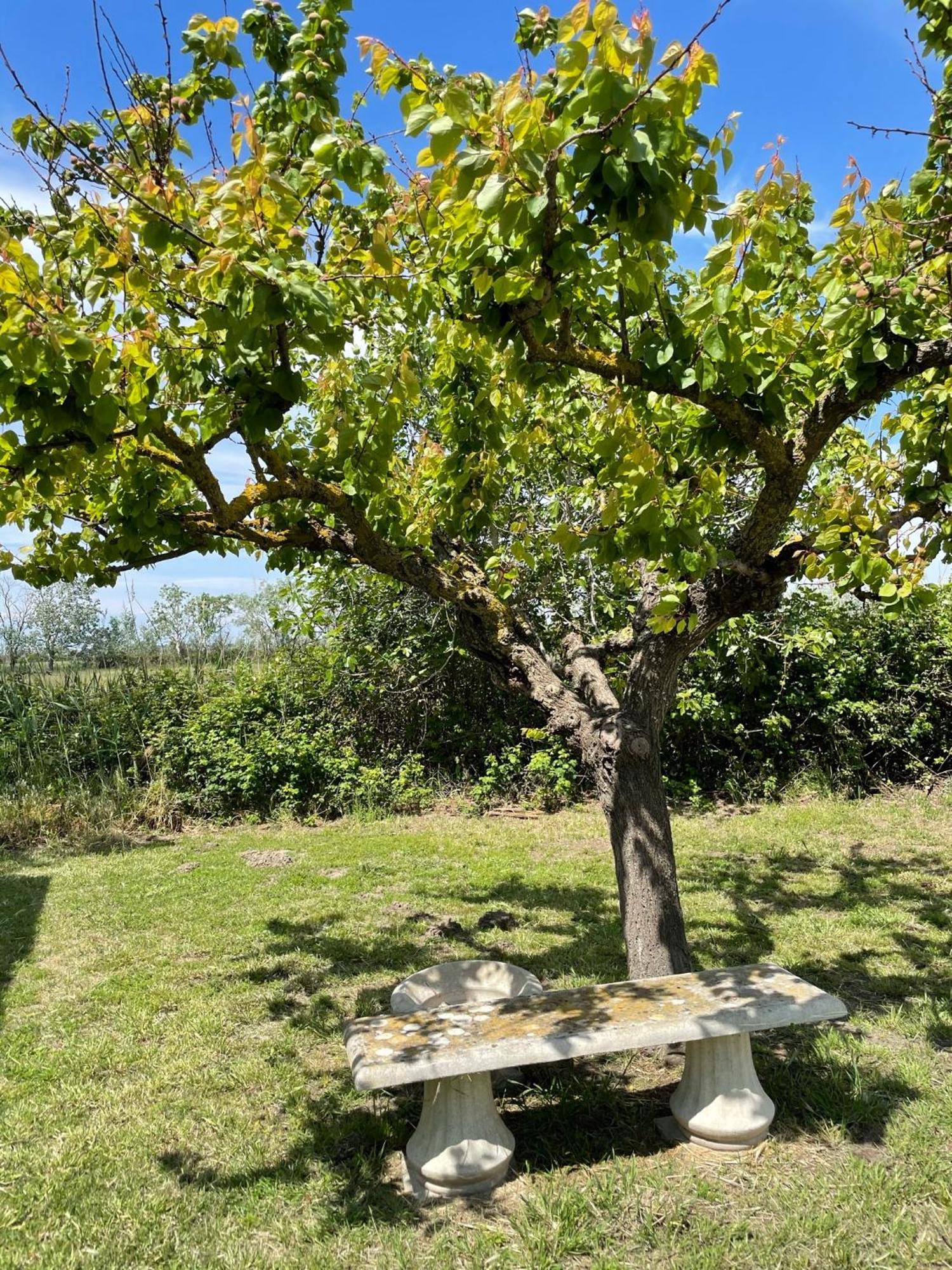 Manade Bec Les Saintes-Maries-de-la-Mer
